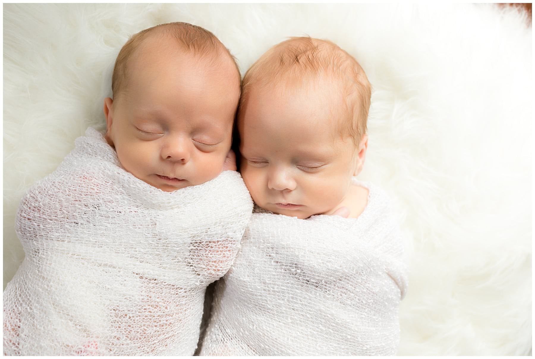 swaddled newborn twins