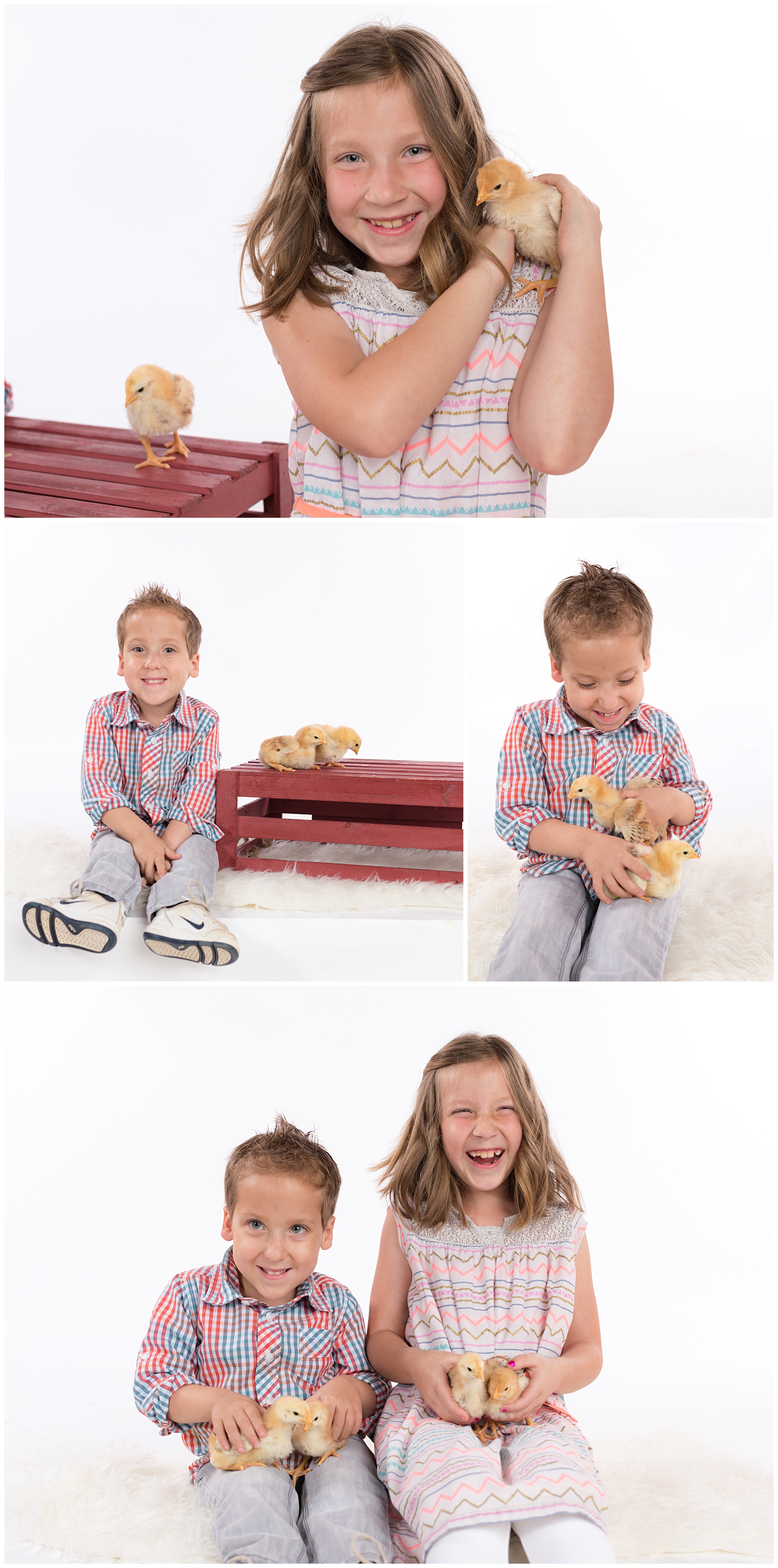 Kids portraits with baby chicks