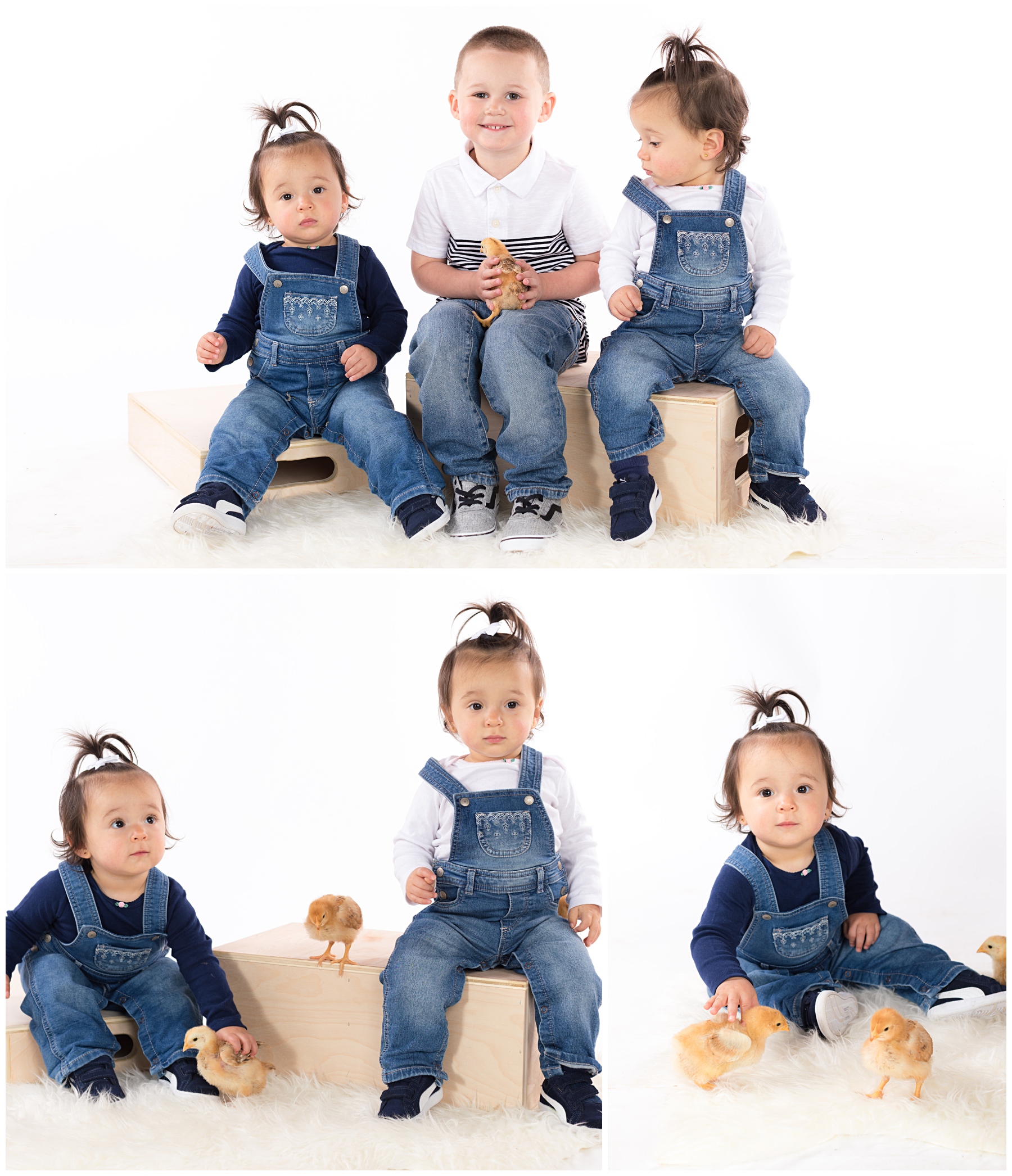 Sibling toddler kids portraits with baby chicks