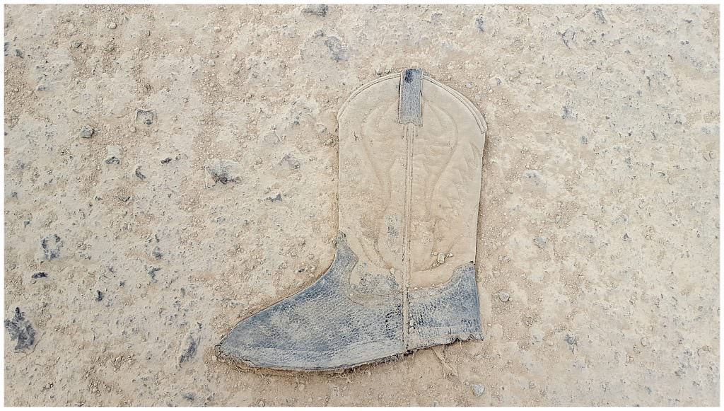 monochromatic image of boot in dirt
