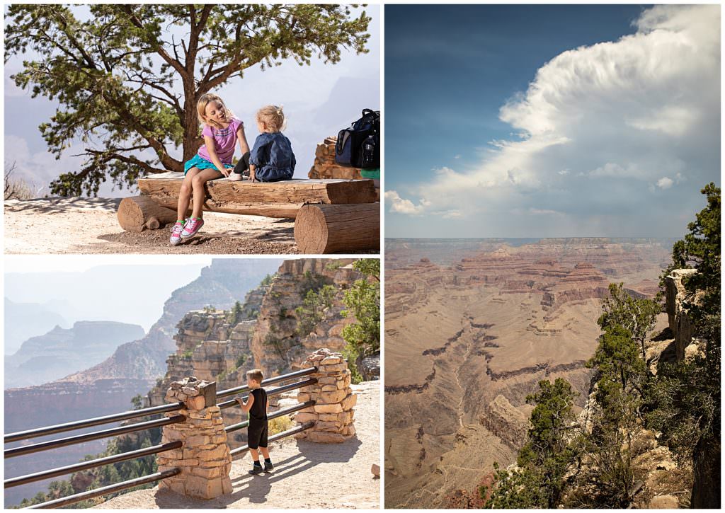 grand canyon family photos with siblings