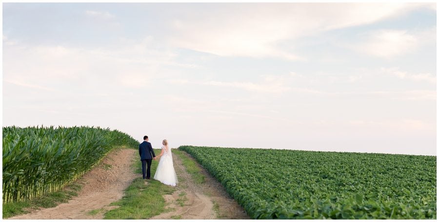 scenic wedding photo with cornfield
